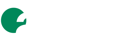 AICE